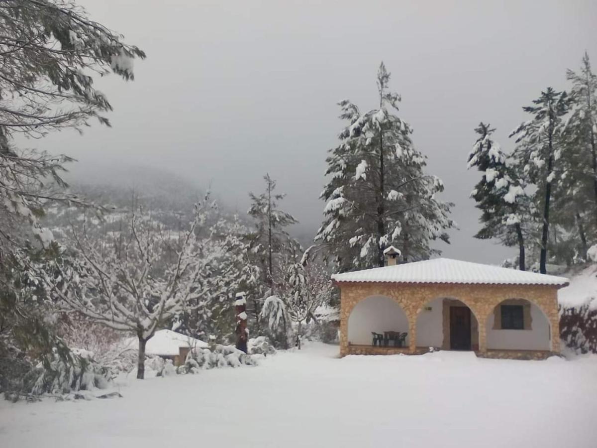 La Tobica Yeste