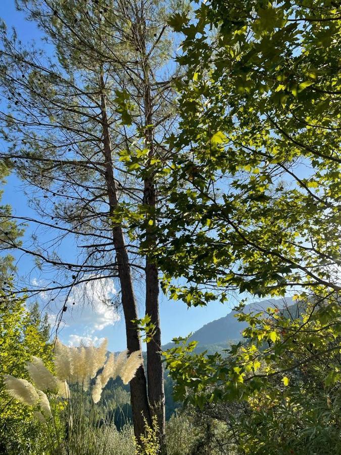 La Tobica Domek alpejski *