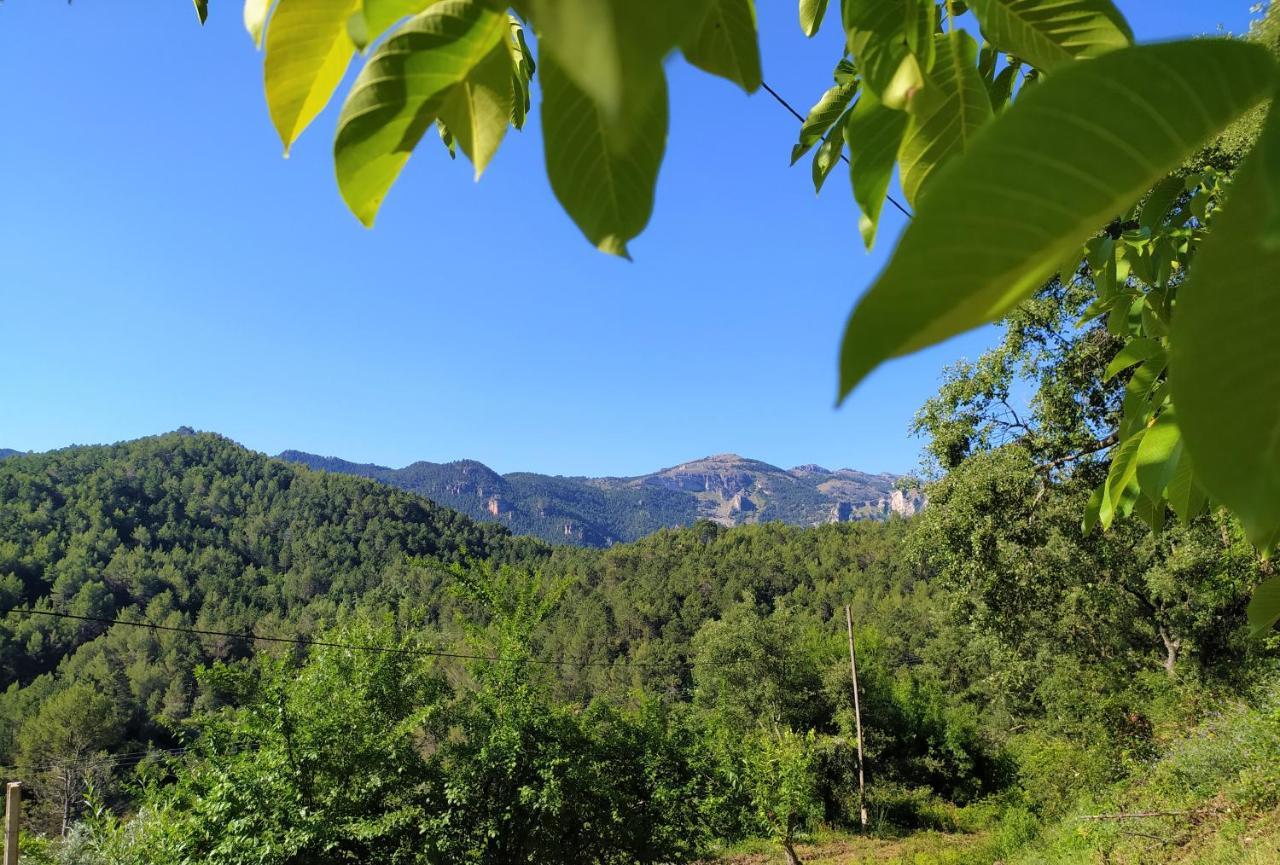La Tobica *